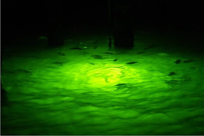 Naples Night Fishing Trips - Night Fishing in Naples: A Different Perspective on Local Waters