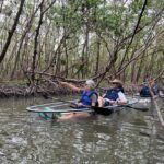 Naples: Wiggins Pass Clear Kayak Eco Tour - Starting Point at Cocohatchee River Park Marina