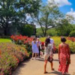 Nashville Historic Mansions and Winery Tour with Lunch - Exploring Belle Meade and Its Historic Charm