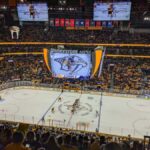 Nashville: Nashville Predators Ice Hockey Game Ticket - How to Access Your Nashville Predators Game Ticket