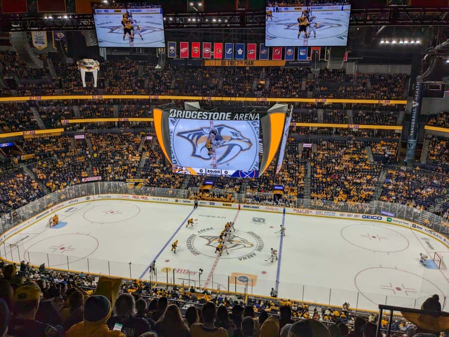 Nashville: Nashville Predators Ice Hockey Game Ticket - How to Access Your Nashville Predators Game Ticket