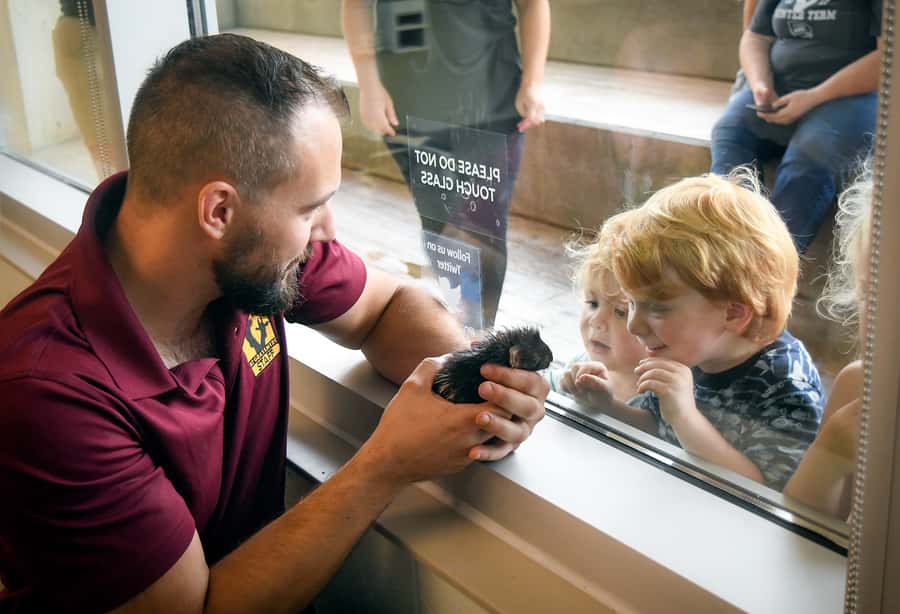 Nashville Zoo: Any-Day Admission Ticket - How the Nashville Zoo Implements Natural Habitats