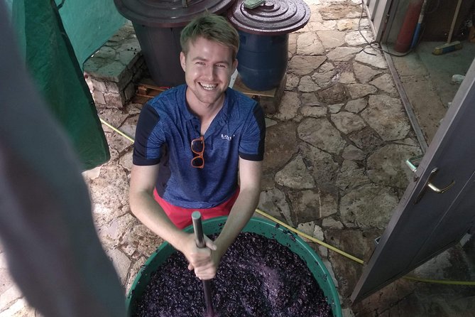 National parks and wine tasting (NP Lovcen, NP Skadar lake, Cetinje, Njegusi) - Starting at Podgorica: Convenient Pickup and Route Planning