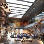 Natural History Museum of Los Angeles County Admission - Discover the Extensive Dinosaur Exhibits and Fossil Collections
