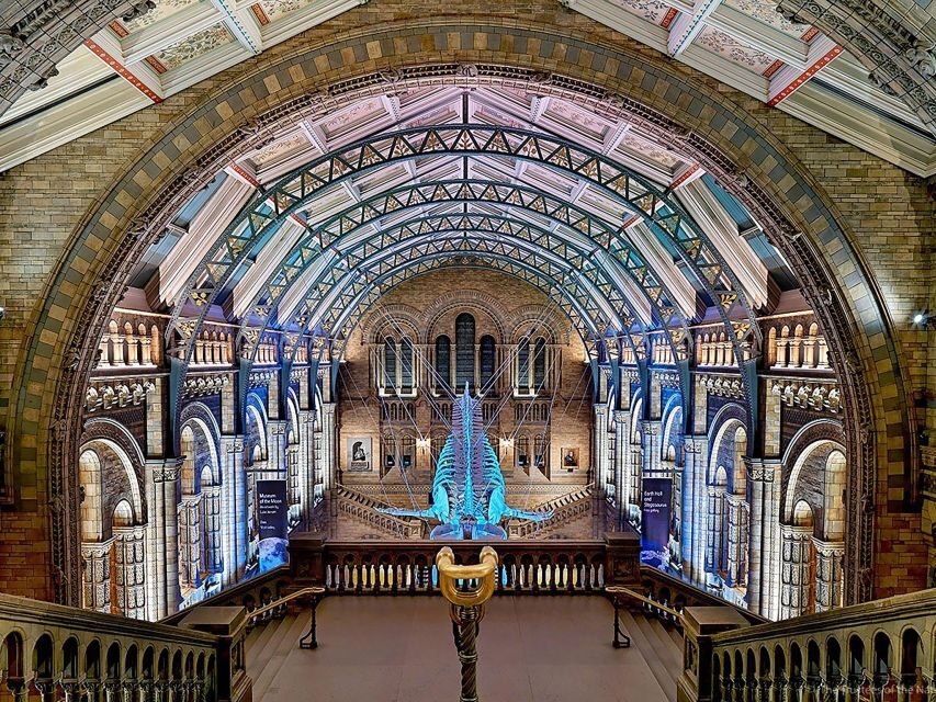 Natural Museum: Butterflies, Gems, Dinosaurs Explored - Starting Point at Exhibition Road in Nantes