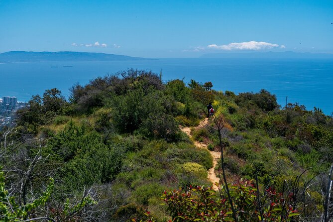 Nature Adventure with Private Transport to Waterfall and more! - Scenic Drive Highlights Along Pacific Coast Highway