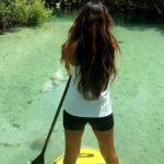 Nature Stand Up Paddle Boarding Experience in Miami - Starting Point at North Miami Beach