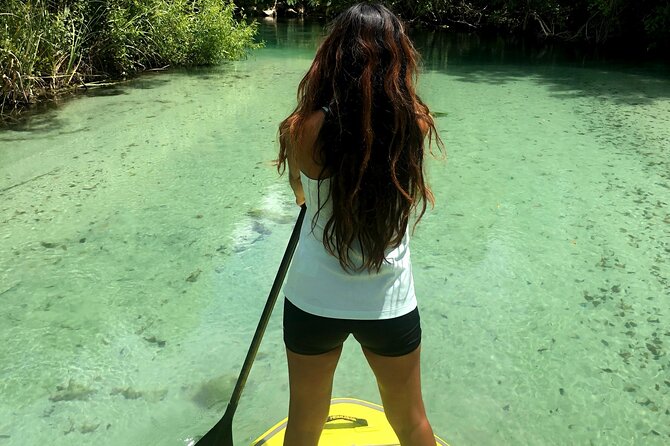 Nature Stand Up Paddle Boarding Experience in Miami - Starting Point at North Miami Beach
