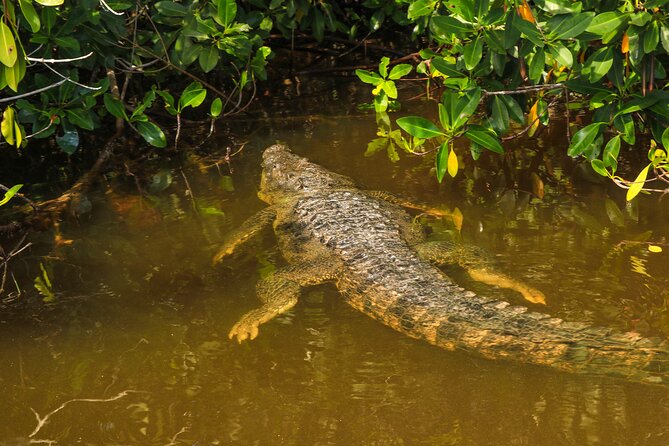 Nature tour by boat in the Natural Reserve in Río Lagartos - Starting Point and Booking Details in Río Lagartos