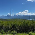 Nature Walk in Glacier National Park - Exploring Lake McDonald Valley on a 1-Mile Walk