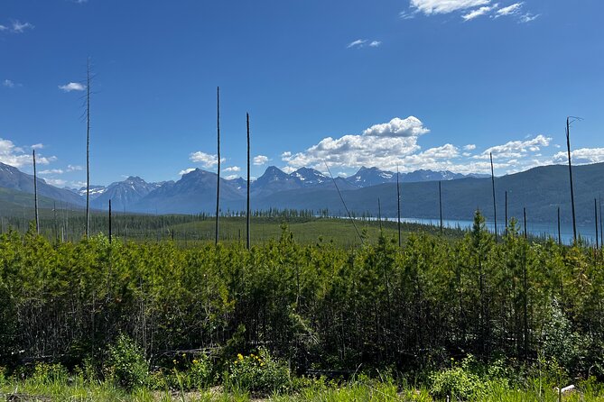 Nature Walk in Glacier National Park - Exploring Lake McDonald Valley on a 1-Mile Walk