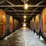 Nature, Wines and Ceramic Tiles: Private Tour - Learning the Art of Azulejos at Azeitao