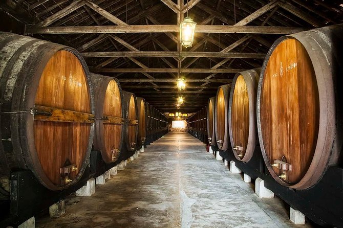 Nature, Wines and Ceramic Tiles: Private Tour - Learning the Art of Azulejos at Azeitao