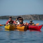 Navarino Bay: Sea Kayaking with Lunch - Easy Access from Gialova and Pylos