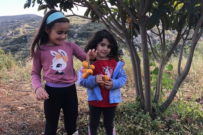 Naxos Perivoli Farm Experience & Wood-fire Cooking Class - Starting at a Family-Owned Farm Near Melanes