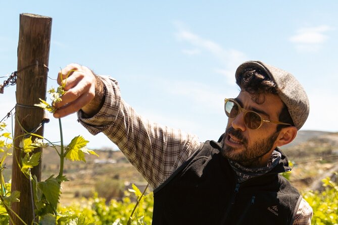 Naxos Private / Semi Private E-Bike Guided Tour Inland Methexis - Learning the Art of Citron Spirit at Vallindras Distillery