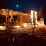 Naxos: Private Traditional Dining in the Olive Grove - In-Depth Look at the Traditional Dishes Served