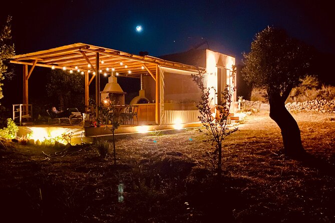 Naxos: Private Traditional Dining in the Olive Grove - In-Depth Look at the Traditional Dishes Served