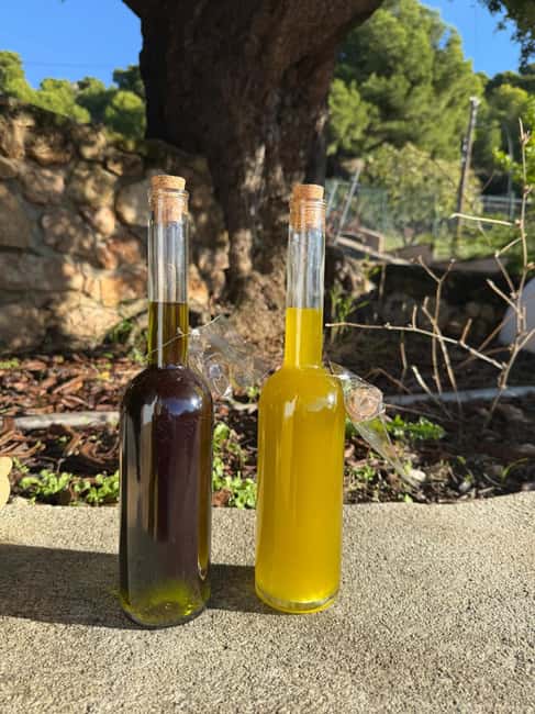 Near Málaga: Mijas Organic Vineyard - 5 Wines & 2 Olive Oils - Guided Tasting of Five Organic Wines