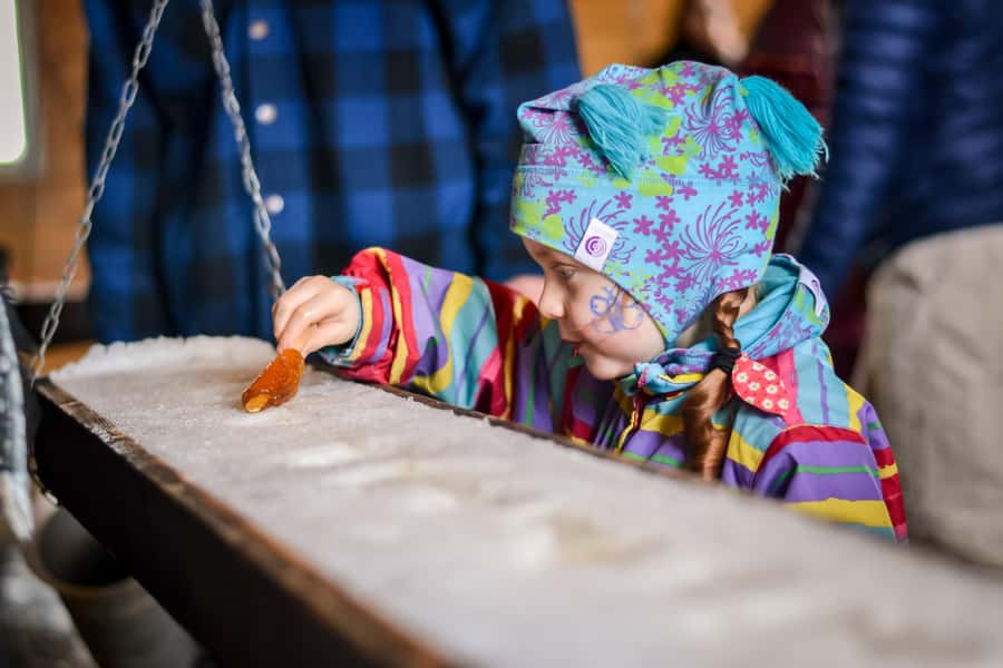 Near Tadoussac: Guided sugar shack tour & product tasting - Step-by-step Tour of Maple Production