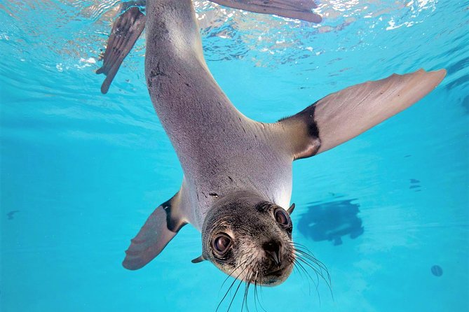 New England Aquarium Admission Ticket in Boston - Inside the Aquarium: Diverse Marine Ecosystems