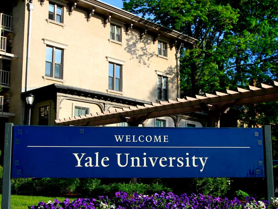 New Haven: Yale University Student-Led Campus Tour - Admiring Yale’s Iconic Landmarks and Architectural Marvels