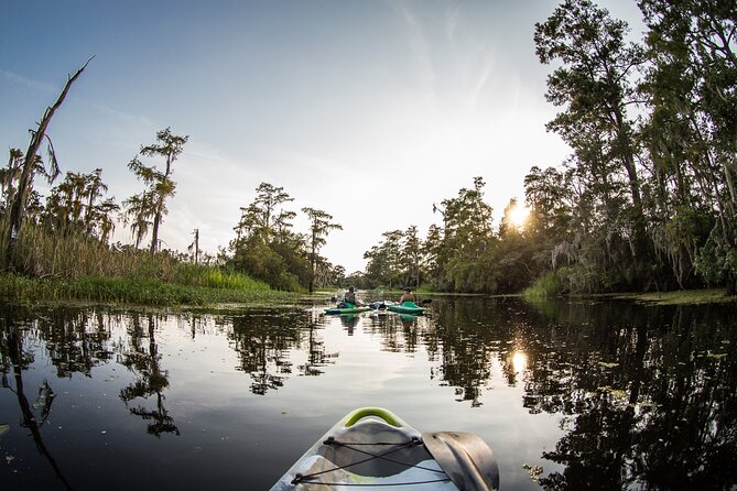 New Orleans Bayou Adventure: Kayak Rental - Scenic Exploration of Cane Bayou’s Lush Environment