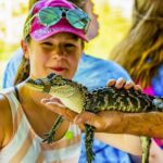 New Orleans: Bayou Swamp Tour and Oak Alley Plantation Tour - The Scenic Drive and Wildlife Viewing Opportunities