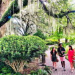 New Orleans: City & Cemetery Tour + Garden District Stroll - Exploring the French Quarter and Esplanade Avenue