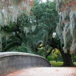 New Orleans Favorites and Creole Culture VIP Tour - Scenic Nature at Audubon Park and Tulane University