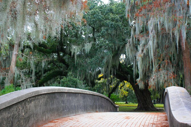 New Orleans Favorites and Creole Culture VIP Tour - Scenic Nature at Audubon Park and Tulane University
