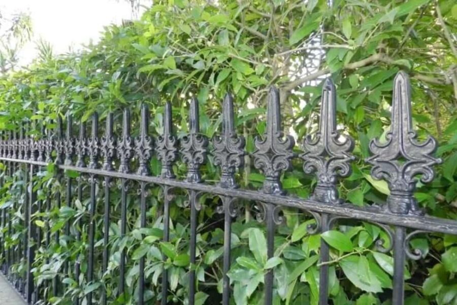 New Orleans: Garden District Walking Tour - Meet Near The Rink Shopping Center for a Convenient Start