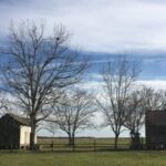 New Orleans: Laura Creole Plantation Guided Tour - The 1805 "Maison Principale" and Its Architectural Significance