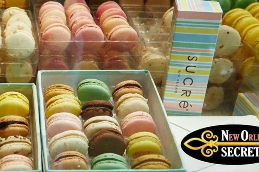 New Orleans: Magazine Street Foodie Tour - Visiting 5 Handpicked Eateries on Magazine Street