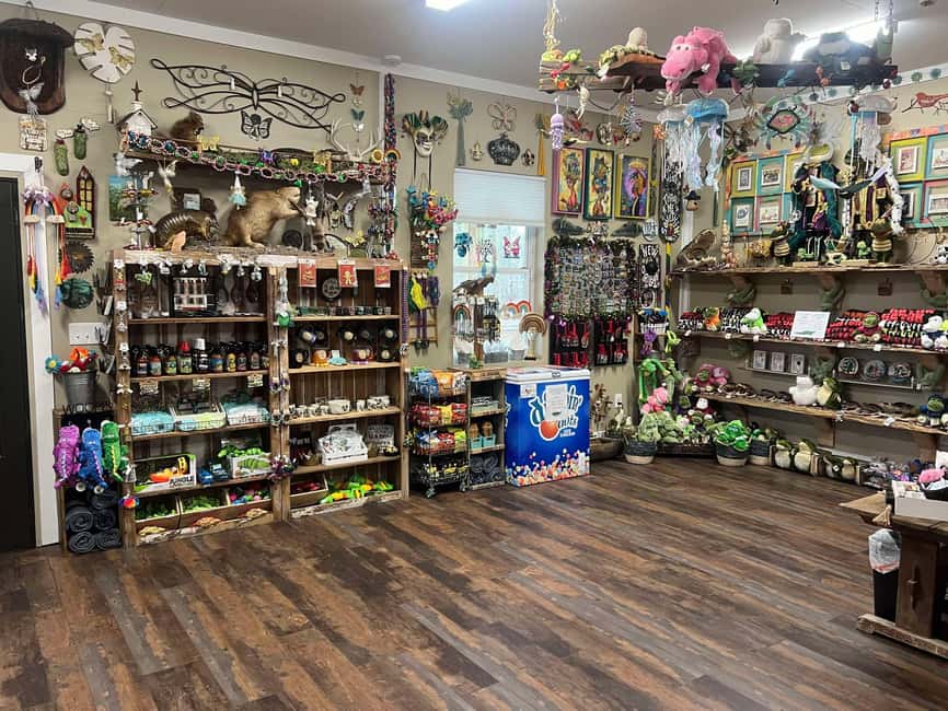 New Orleans Manchac Bayou Swamp Cruise W/ Optional Pick-Up - The Experience Inside the Bayou: A Close-Up View of Wildlife