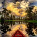 New Orleans: Manchac Swamp Wildlife Kayaking Tour - Starting Point and Transportation Options