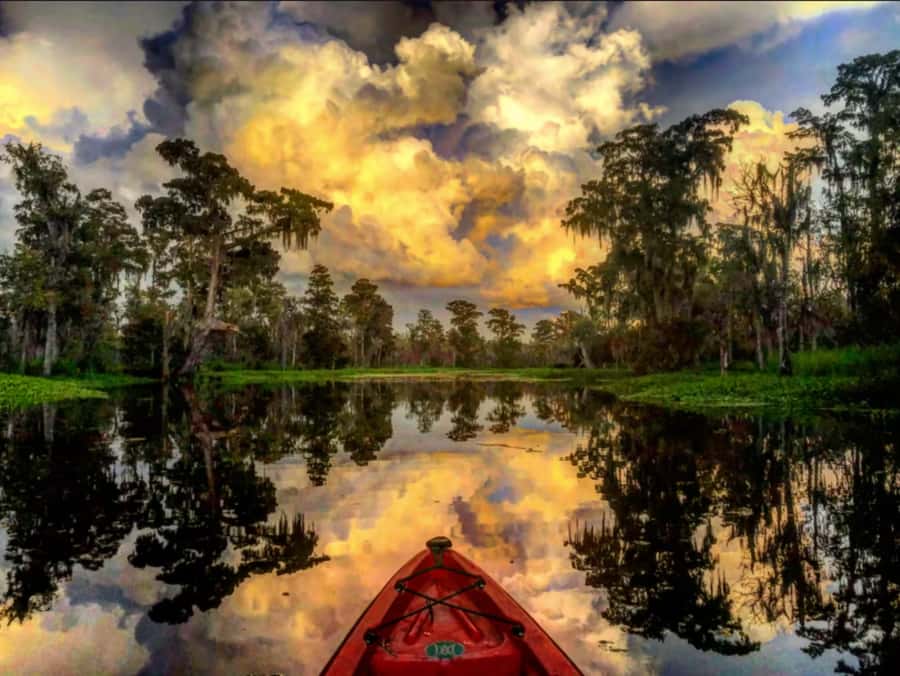 New Orleans: Manchac Swamp Wildlife Kayaking Tour - Starting Point and Transportation Options