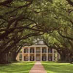 New Orleans: Oak Alley Plantation Half Day Tour - How the Tour Begins: Pickup and Transportation