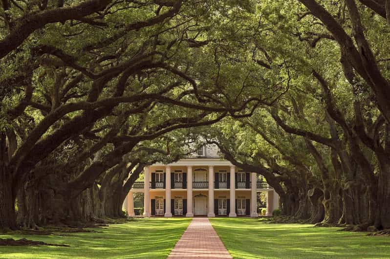 New Orleans: Oak Alley Plantation Half Day Tour - How the Tour Begins: Pickup and Transportation