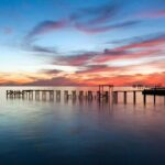 New Orleans Swamp and Bayou Boat Tour with Transportation - Wildlife Encounters: From Alligators to Birds