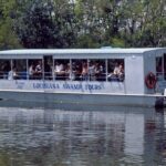 New Orleans Swamp Tour Boat Adventure - Scenic Wildlife Encounters and Close Interactions