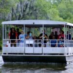 New Orleans: Swamp Tour on Covered Pontoon Boat - Meeting Point at Adventures of Jean Lafitte: A Scenic Drive from New Orleans