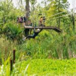 New Orleans: Swamp Zipline Tour - Traverse Five Ziplines Over the Swamp