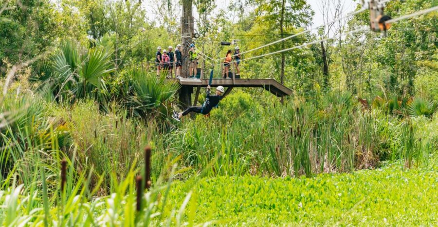 New Orleans: Swamp Zipline Tour - Traverse Five Ziplines Over the Swamp
