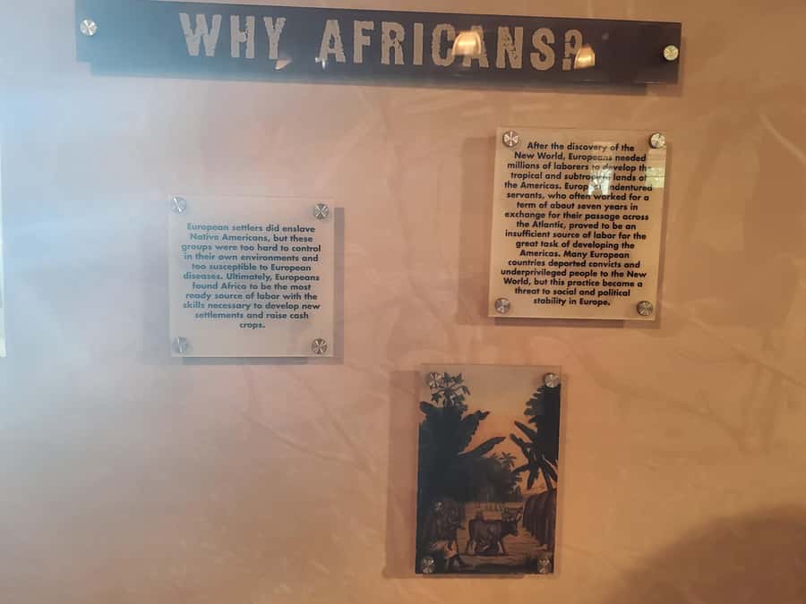 New Orleans: Whitney Plantation Half-Day Tour (Guided Tour) - Exploring the Grounds and Iconic Oak Alley