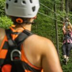 New River Gorge: TimberTrek Adventure Park Entry Ticket - Exploring the Seven Courses: From Kid-Friendly to Advanced Challenges