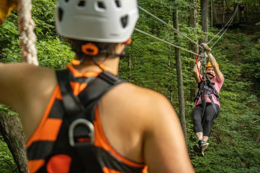 New River Gorge: TimberTrek Adventure Park Entry Ticket - Exploring the Seven Courses: From Kid-Friendly to Advanced Challenges