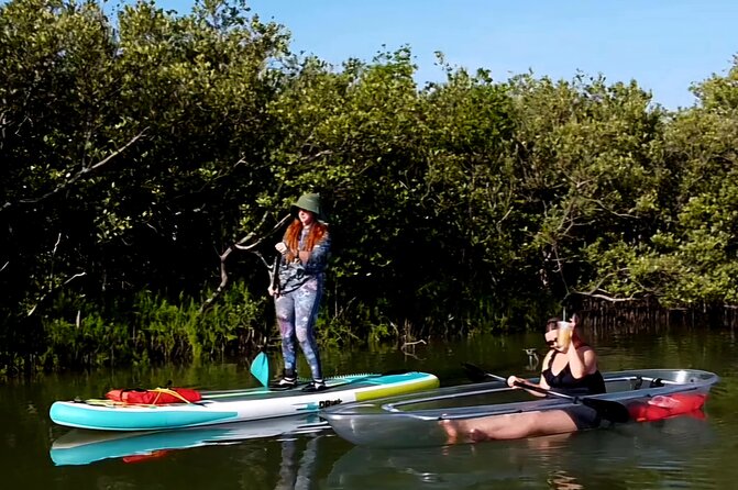 New Smyrna Mangrove Paddle & Mimosa Tour - Who Should Consider This Tour