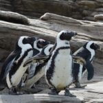 New York Aquarium Admission - How to Guarantee Your Entry to the Aquarium