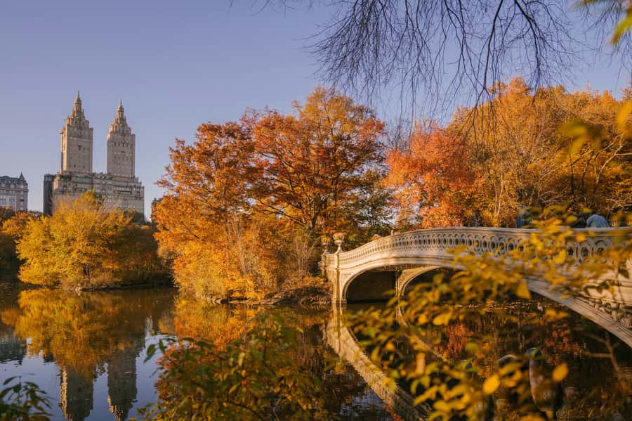New York: Central Park Small Group Walking Tour - Walking Through Central Park’s Iconic Landmarks